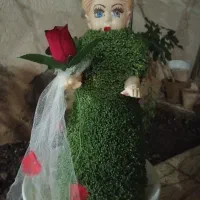 سبزه برای عروس