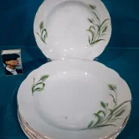 فسنجون خوری گل گندم (معاوضه دارم) عضو کانالشو