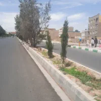 زمین بحر بلوار اصلی دو نبش