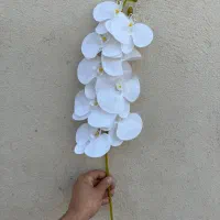ارکیده مصنوعی لمسی خارجی