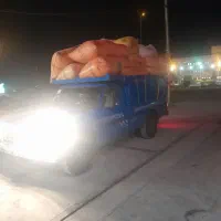 کاه گندم دست اول
