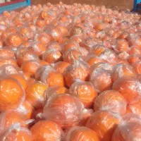 پرتقال تامسون نایلون پیج سوپر یکدست