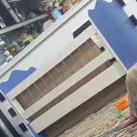 تخت خواب کودک با تشک