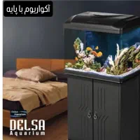 اقساطی آکواریوم شیشه خم و نیم دایره و دکور زده