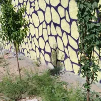 خطاطی، دیوار نویسی، تبلیغات