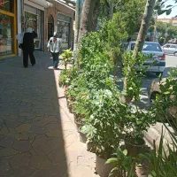 گل و گیاه