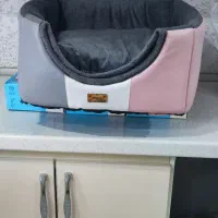 جای خواب سگ و گربه/// اهواز.کیانشهر