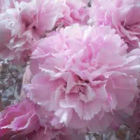 حسابداری و مالیاتی