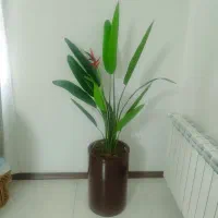 درختچه خانگی مصنوعی