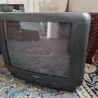 تلوزیون