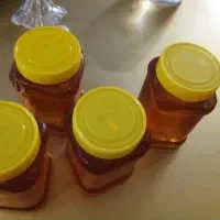 عسل