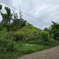 فروش زمین بی نظیر برای سرمایه‌گذاری متراژ ۱۰۵۰ متر