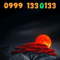 0999-131-0-131