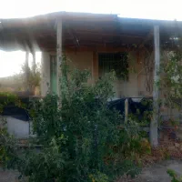 فروش باغ|فروش زمین و ملک کلنگی|زنجان, |دیوار