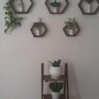شلف شش ضلعی