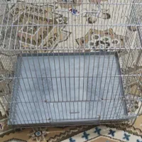 قفس پرنده