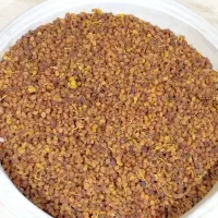 کشمش آفتابی(با دَوا)