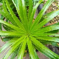 فروش فقط ۸۰