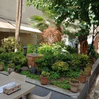 کمک اشپز فرنگی  وظرفشور
