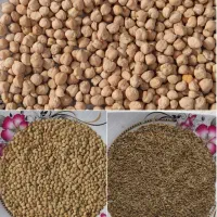 نخود و عدس درجه یک اعلابه شرط پخت ..ارسال رایگان