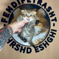 اسکاتیش گلد کد ۲۵