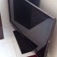 تلوزییون