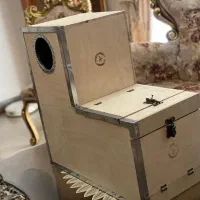 لانه لونه کاسکو شاه طوطی