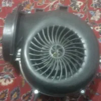 فن نو