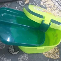 ظرف غذا