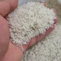 برنج فجر پاکستانی درجه یک