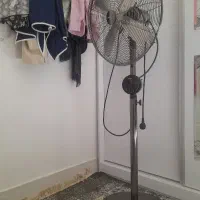 پنکه