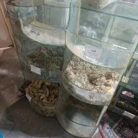 فروش چن تا باکس شیشه ای