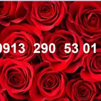 0913.19.18.405|سیمکارت|رفسنجان, |دیوار