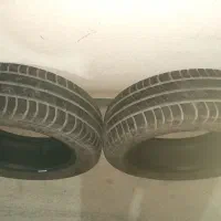 لاستیک ساینا ۱۴×۶۰×۱۸۵