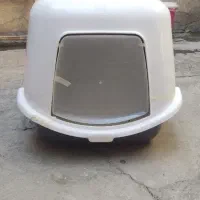 ظرف دست شویی ، گربه