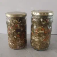 ترشی ۷ بیجار