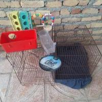 هرچی برداری ۱۰۰ تومان