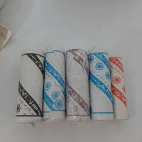 سکه جمهوری نونو