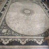 قال 3در4طوس کرم 700شانه