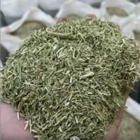 خار شتری