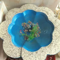 استخر ماهی باپمپ اب