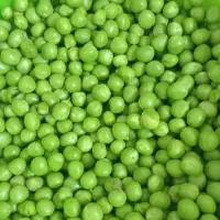 نخود سبز وتازه ودرجه یک فقط ۳۰۰