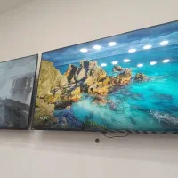 فروش ویژه تلویزیون دوو.هایسنس.اسنوا از دم قسط