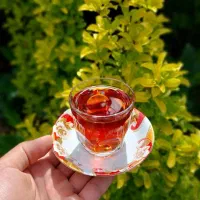 چای گیلان تولید اردبیهشت 05