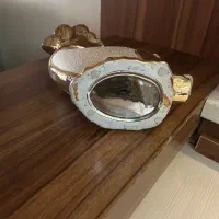 یک عدد ماهی زیبا هم گلدان وهم دکوری