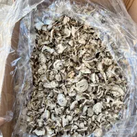 قارچ خشک فله ای