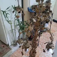 بخاطر کمبود جا|چراغ خواب و آباژور|تهران, ارامنه|دیوار