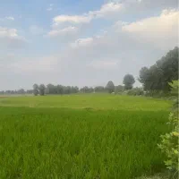 زمین-کشاورزی-و-زراعی