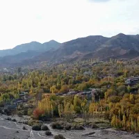 بفروش زمین دهبکری