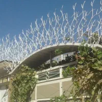 تولید حفاظ بوته ای مدل خاری پرتراکم با امنیت